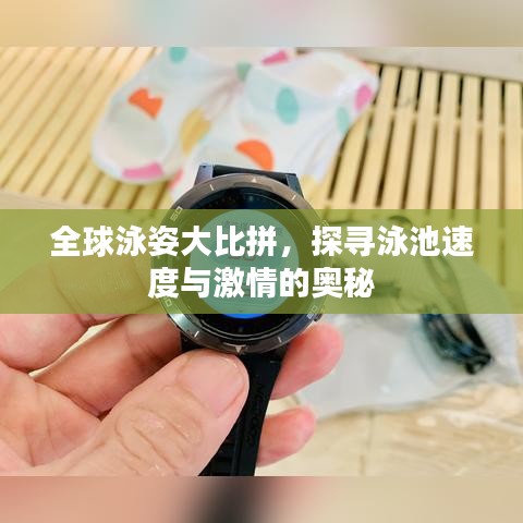 全球泳姿大比拼，探寻泳池速度与激情的奥秘