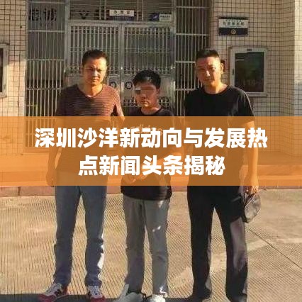 深圳沙洋新动向与发展热点新闻头条揭秘