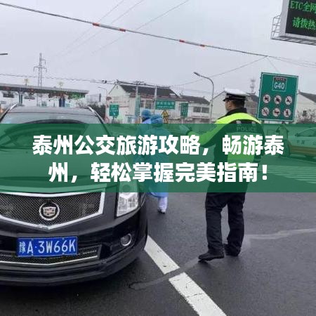 泰州公交旅游攻略，畅游泰州，轻松掌握完美指南！