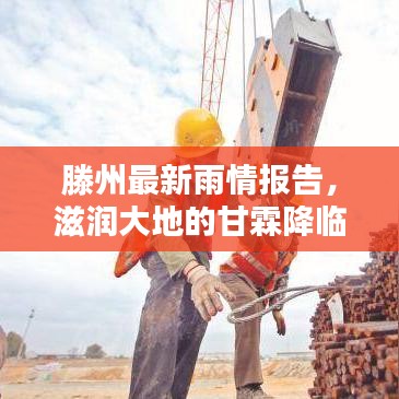滕州最新雨情报告，滋润大地的甘霖降临