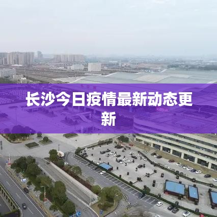长沙今日疫情最新动态更新