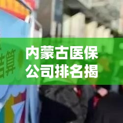 内蒙古医保公司排名揭晓，行业领军者榜单探寻！