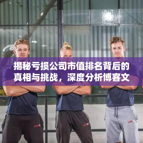 揭秘亏损公司市值排名背后的真相与挑战，深度分析博客文章