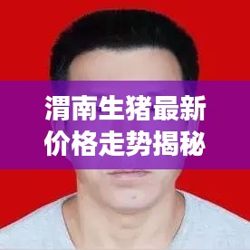 渭南生猪最新价格走势揭秘，市场分析与预测