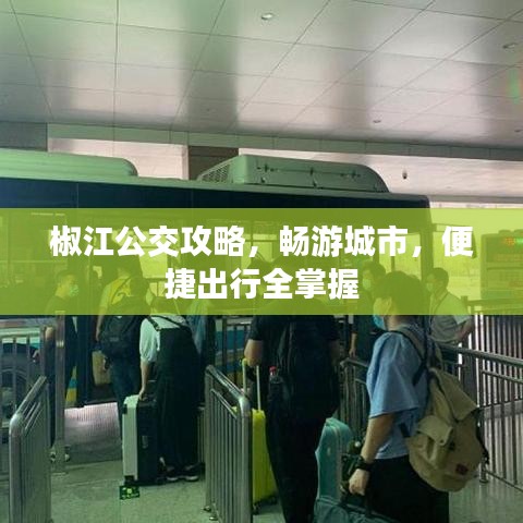 椒江公交攻略，畅游城市，便捷出行全掌握