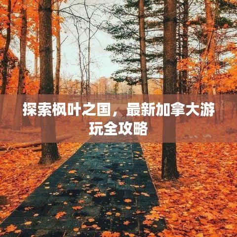 探索枫叶之国，最新加拿大游玩全攻略