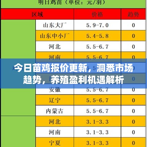 今日苗鸡报价更新，洞悉市场趋势，养殖盈利机遇解析