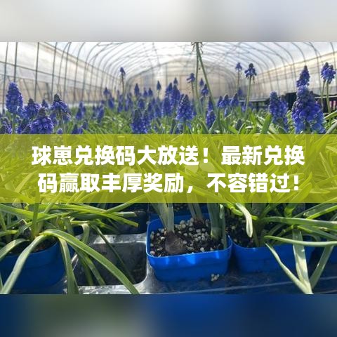 球崽兑换码大放送！最新兑换码赢取丰厚奖励，不容错过！