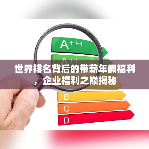世界排名背后的带薪年假福利，企业福利之巅揭秘