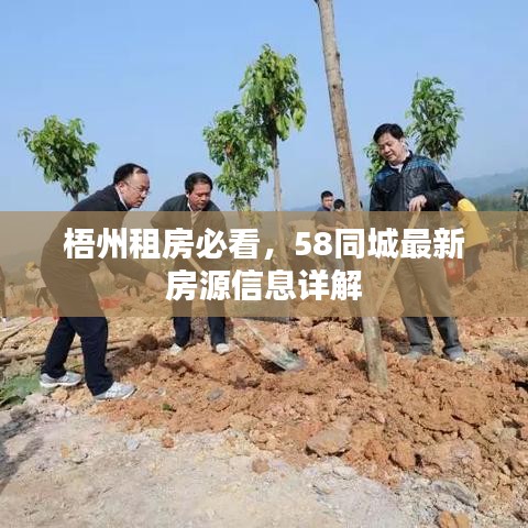 梧州租房必看，58同城最新房源信息详解