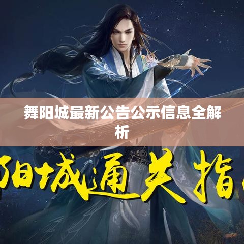 舞阳城最新公告公示信息全解析