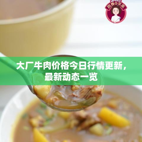 大厂牛肉价格今日行情更新，最新动态一览