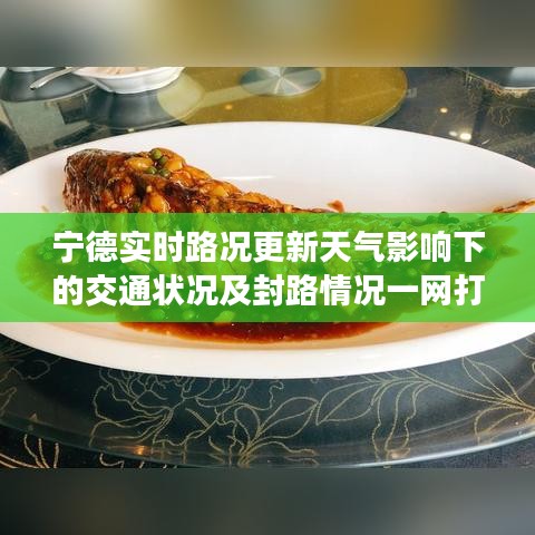 宁德实时路况更新天气影响下的交通状况及封路情况一网打尽
