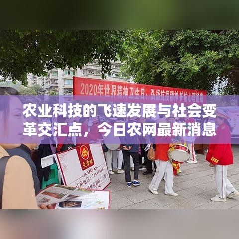 农业科技的飞速发展与社会变革交汇点，今日农网最新消息解读