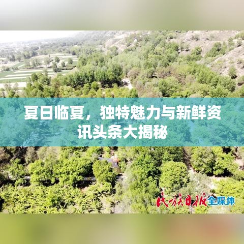 夏日临夏，独特魅力与新鲜资讯头条大揭秘