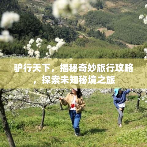 驴行天下，揭秘奇妙旅行攻略，探索未知秘境之旅