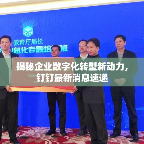 揭秘企业数字化转型新动力，钉钉最新消息速递