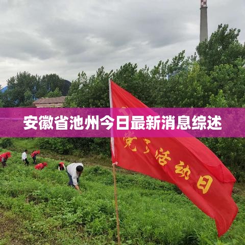 安徽省池州今日最新消息综述