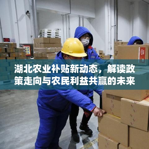 湖北农业补贴新动态，解读政策走向与农民利益共赢的未来（最新消息）