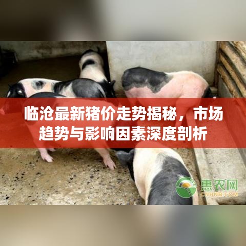 临沧最新猪价走势揭秘，市场趋势与影响因素深度剖析