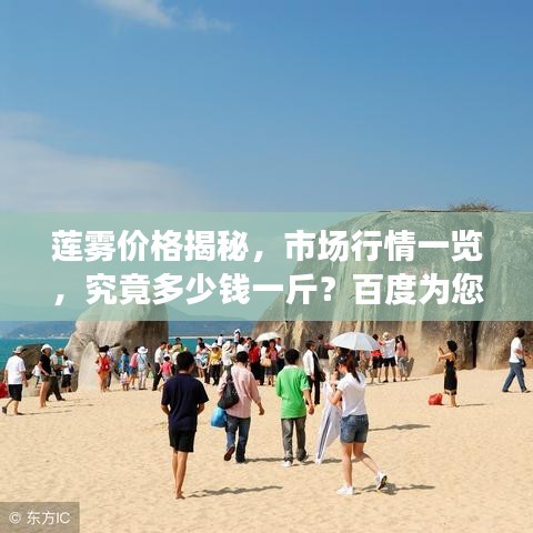 莲雾价格揭秘，市场行情一览，究竟多少钱一斤？百度为您解答！