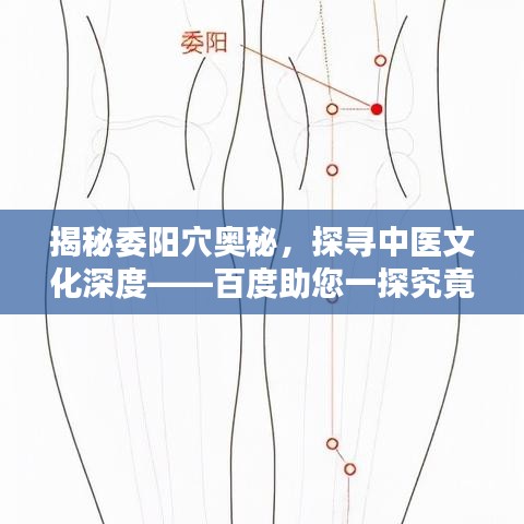 揭秘委阳穴奥秘，探寻中医文化深度——百度助您一探究竟