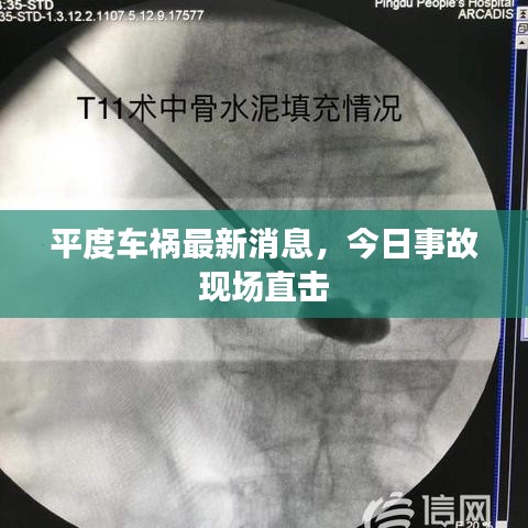 平度车祸最新消息，今日事故现场直击