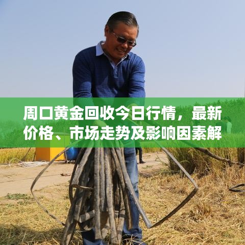 周口黄金回收今日行情，最新价格、市场走势及影响因素解析