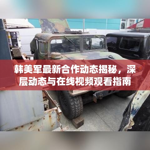 韩美军最新合作动态揭秘，深层动态与在线视频观看指南
