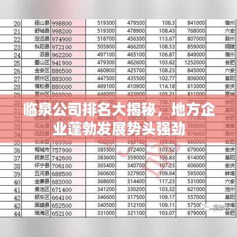 临泉公司排名大揭秘，地方企业蓬勃发展势头强劲