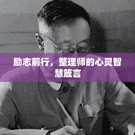 励志前行，整理师的心灵智慧箴言