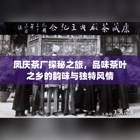 凤庆茶厂探秘之旅，品味茶叶之乡的韵味与独特风情
