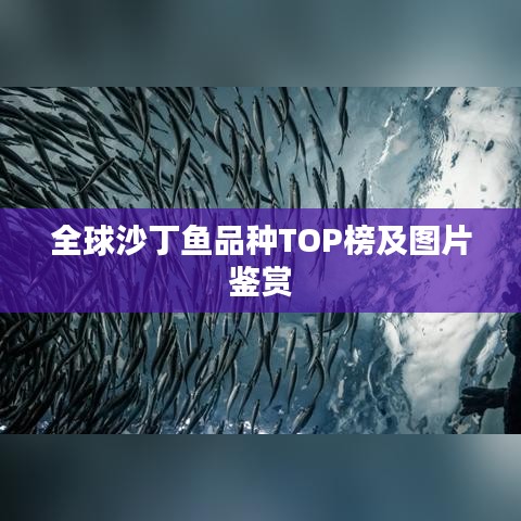 全球沙丁鱼品种TOP榜及图片鉴赏