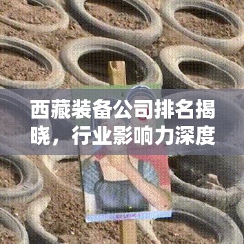 西藏装备公司排名揭晓，行业影响力深度解析