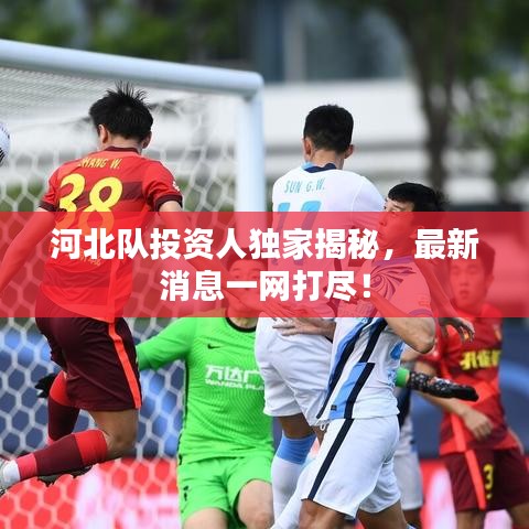 河北队投资人独家揭秘，最新消息一网打尽！