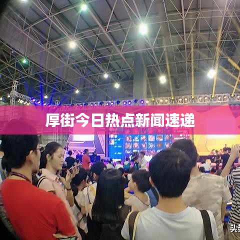 厚街今日热点新闻速递