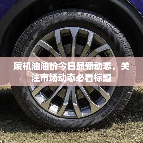 废机油油价今日最新动态，关注市场动态必看标题