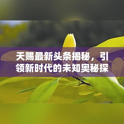 天赐最新头条揭秘，引领新时代的未知奥秘探索潮流