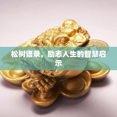 松树语录，励志人生的智慧启示