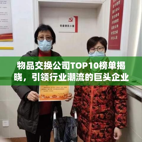 物品交换公司TOP10榜单揭晓，引领行业潮流的巨头企业大揭秘！