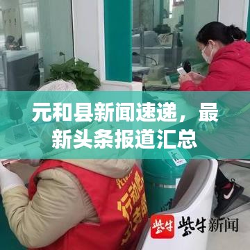 元和县新闻速递，最新头条报道汇总