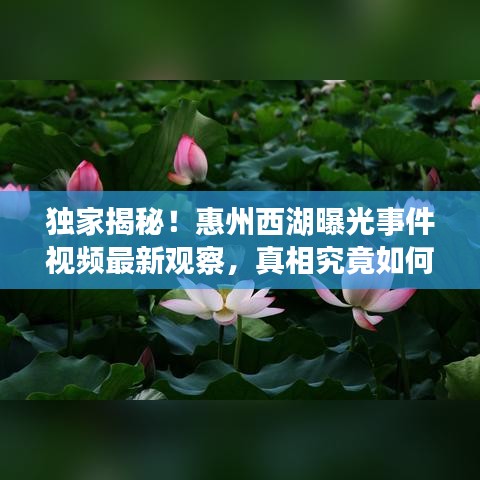 独家揭秘！惠州西湖曝光事件视频最新观察，真相究竟如何？