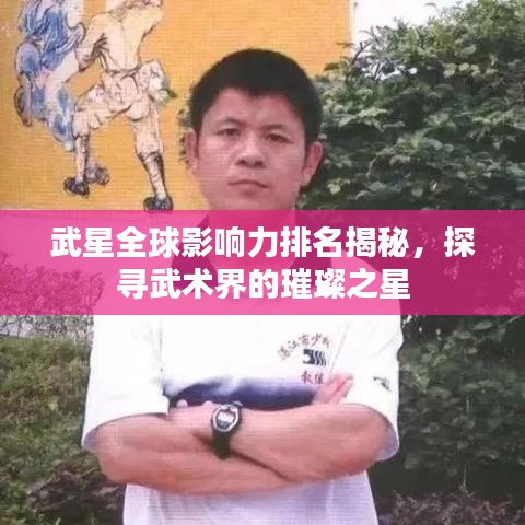 武星全球影响力排名揭秘，探寻武术界的璀璨之星