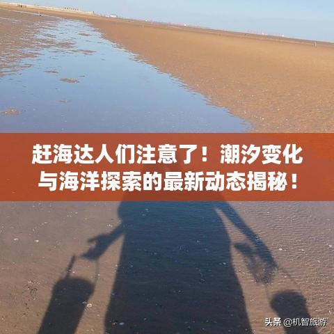 赶海达人们注意了！潮汐变化与海洋探索的最新动态揭秘！
