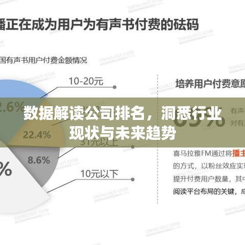数据解读公司排名，洞悉行业现状与未来趋势