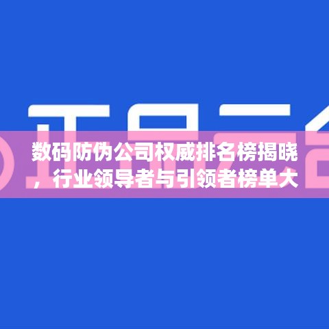 数码防伪公司权威排名榜揭晓，行业领导者与引领者榜单大揭秘！