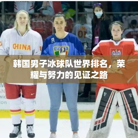 韩国男子冰球队世界排名，荣耀与努力的见证之路