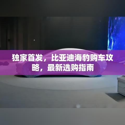 独家首发，比亚迪海豹购车攻略，最新选购指南