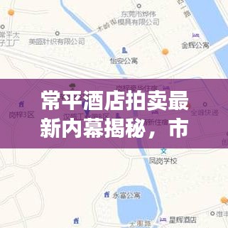 常平酒店拍卖最新内幕揭秘，市场走势与交易细节全解析
