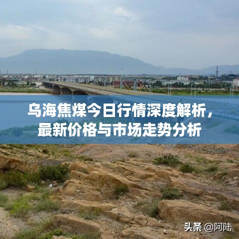 2025年6月17日 第11页